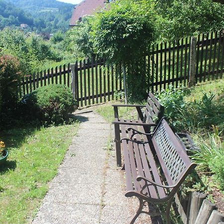 Privat Zelezny Brod Apartman Kültér fotó