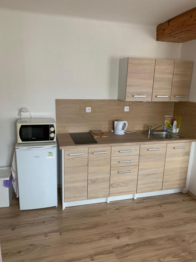 Privat Zelezny Brod Apartman Kültér fotó