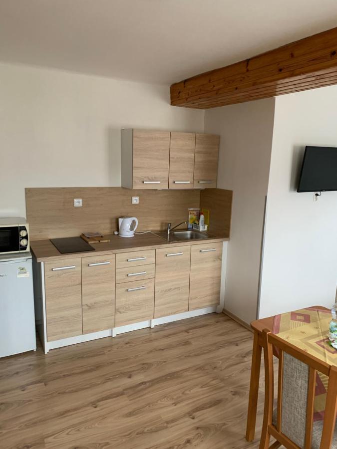 Privat Zelezny Brod Apartman Kültér fotó