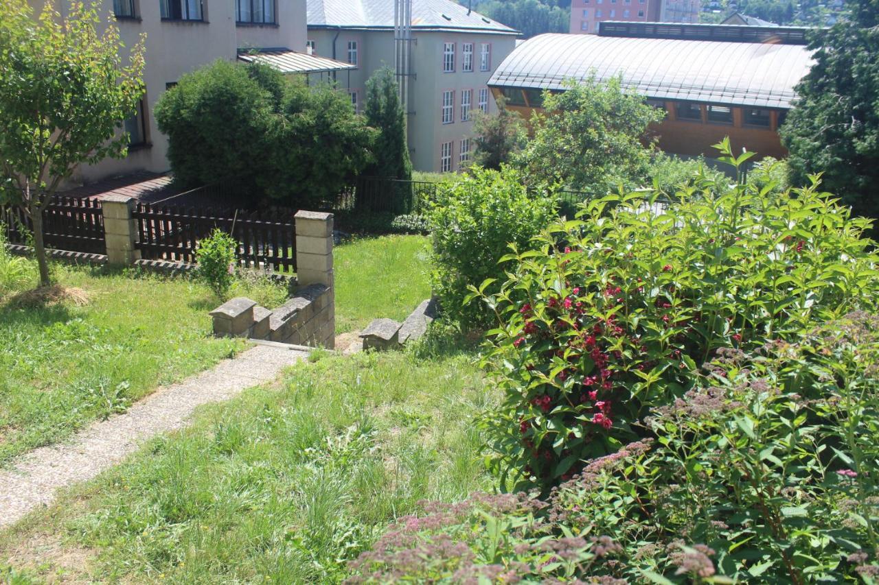 Privat Zelezny Brod Apartman Kültér fotó